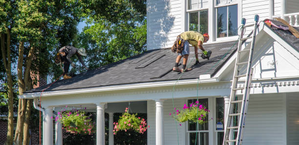 Best Roof Gutter Cleaning  in Purcellville, VA